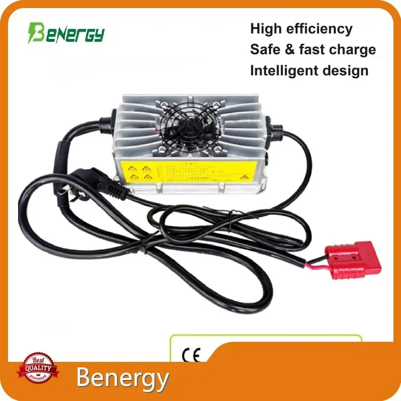 Custom Lithium Battery Manufacturer 4.4 Lb by Benergy 1