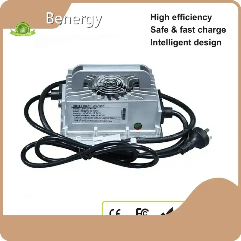 Lifepo4 Lithium Battery Charger 5.73 Lbs by Benergy 1