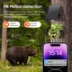 VESAFE Solar Cellular Trail Camera Factory Direct Supply 8