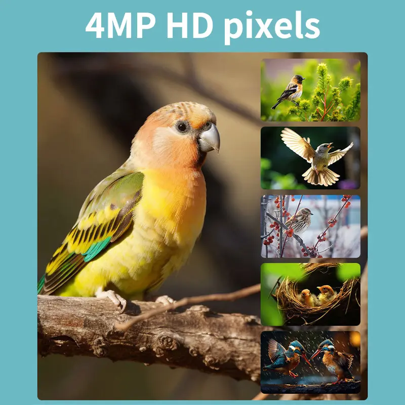 Customized Solar Camera Surveillance Price List 5