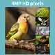 Customized Solar Camera Surveillance Price List 5