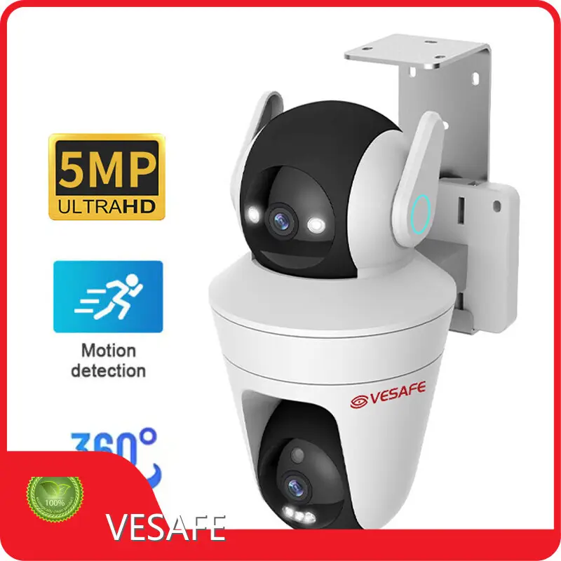 VESAFE Smart Outdoor Ip Camera Personalized 1