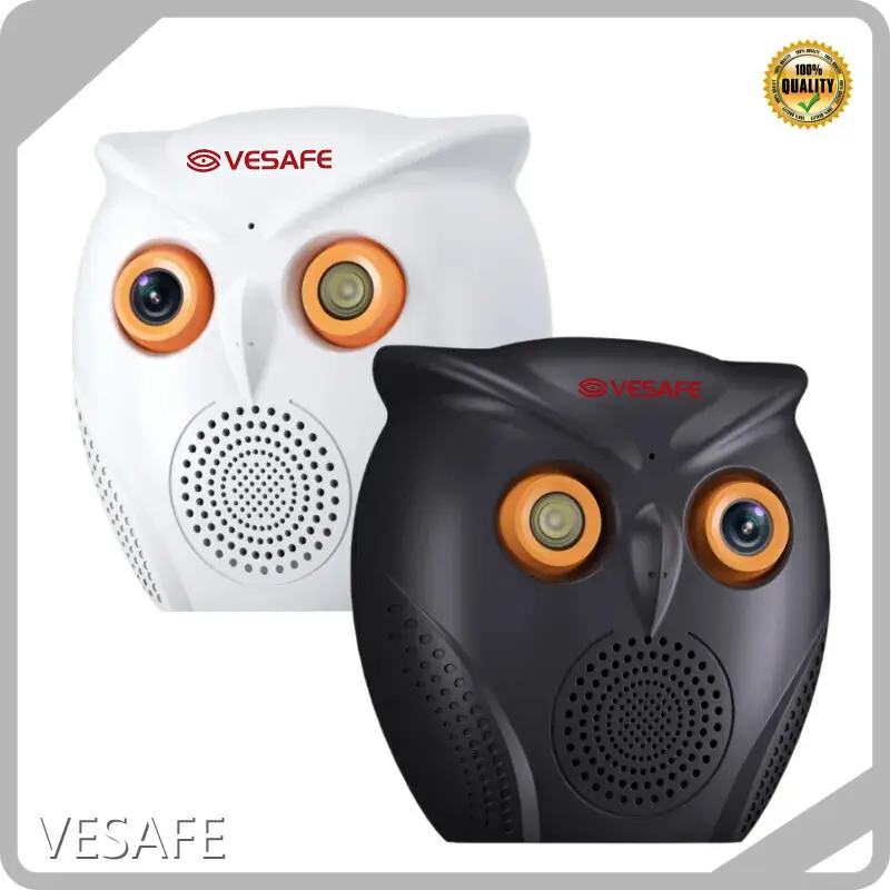VESAFE Ip Camera Supplier Ip Camera Suppliernew Arrival 1