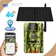 Professional Wireless Solar Trail Camera Price List 1