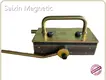Permanent Shuttering Magnet - - SAIXIN 1