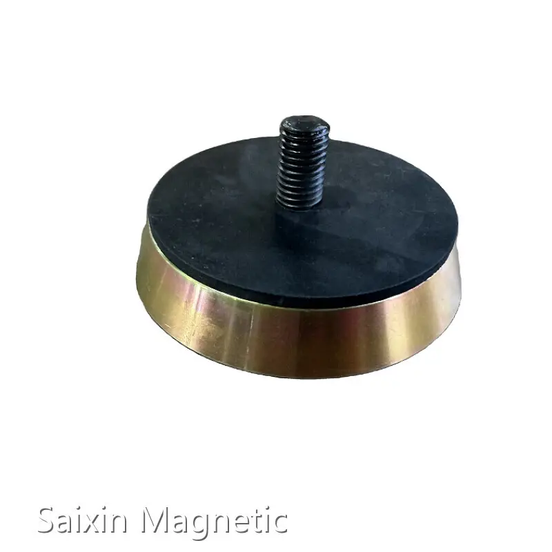 Inserted Magnet Supplier by SAIXIN 1