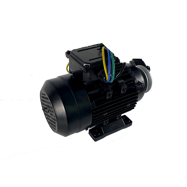 QY90 Series Pool pump motors 1
