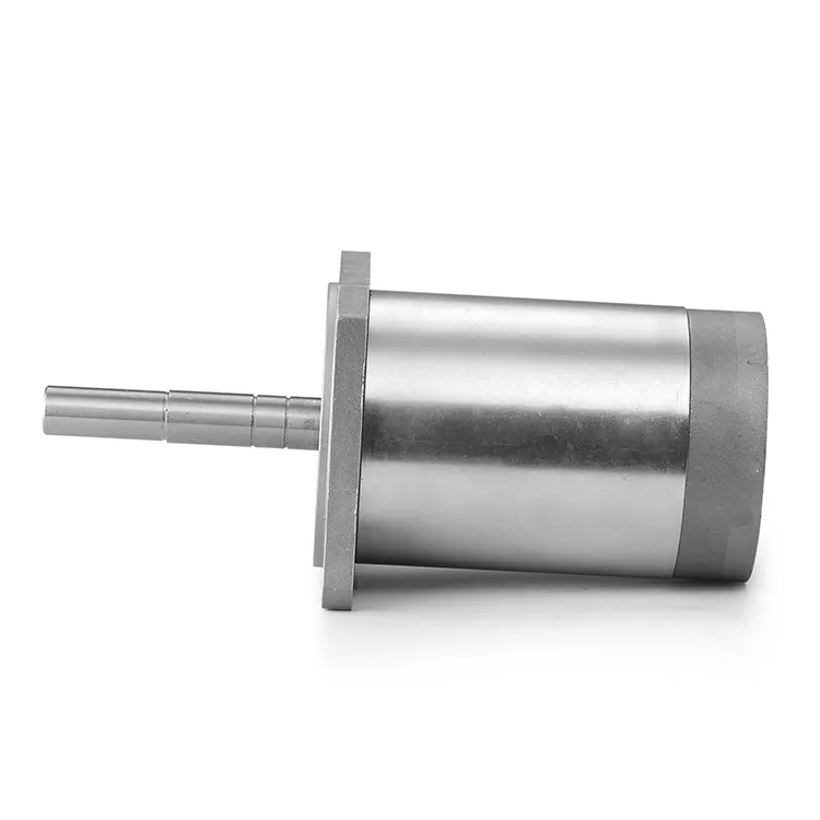 Ac Motor Manufacturer 12-48VDC 0.25-0.4N.mvendor 5