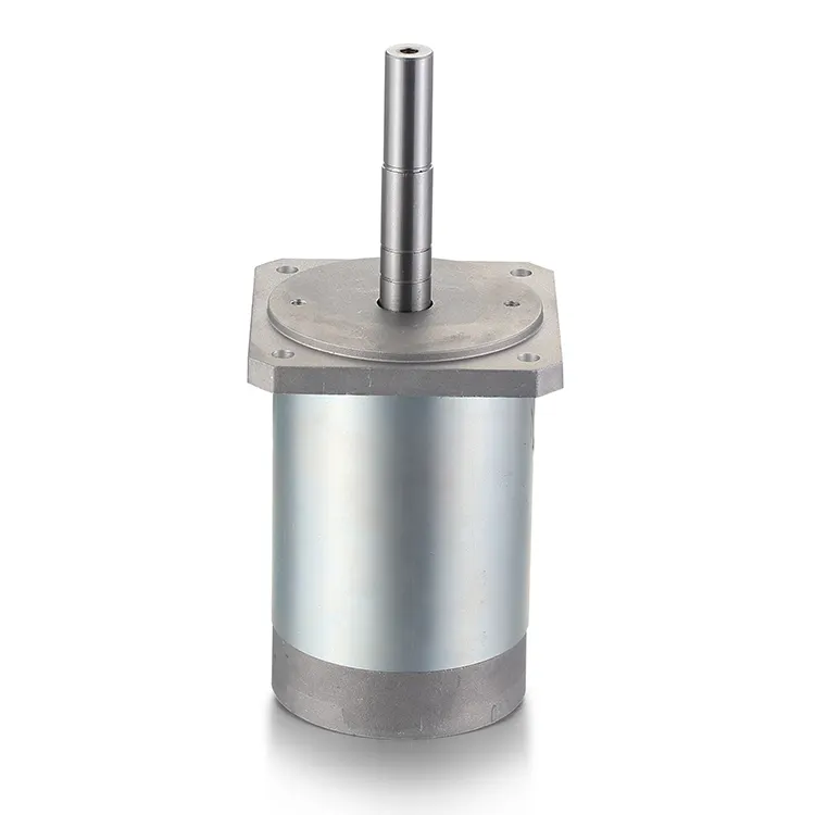 Ac Motor Manufacturer 12-48VDC 0.25-0.4N.mvendor 4