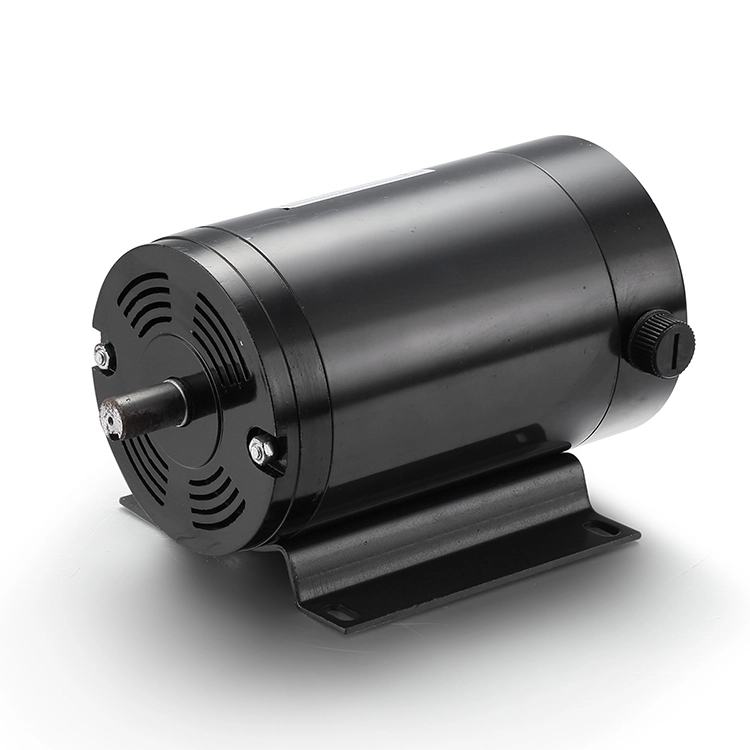 BG101ZYT177 Fabricantes de motores de CC Motor cepillado de 12 V 250 W CC 1