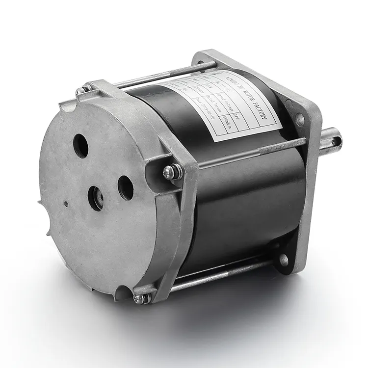 Best Brushed Dc Motor Manufacturer Company 2