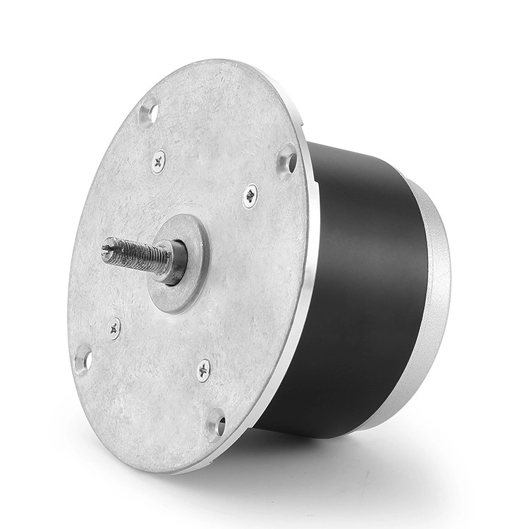 BG101ZYT89 48V 200W High Speed brushed dc motor 1