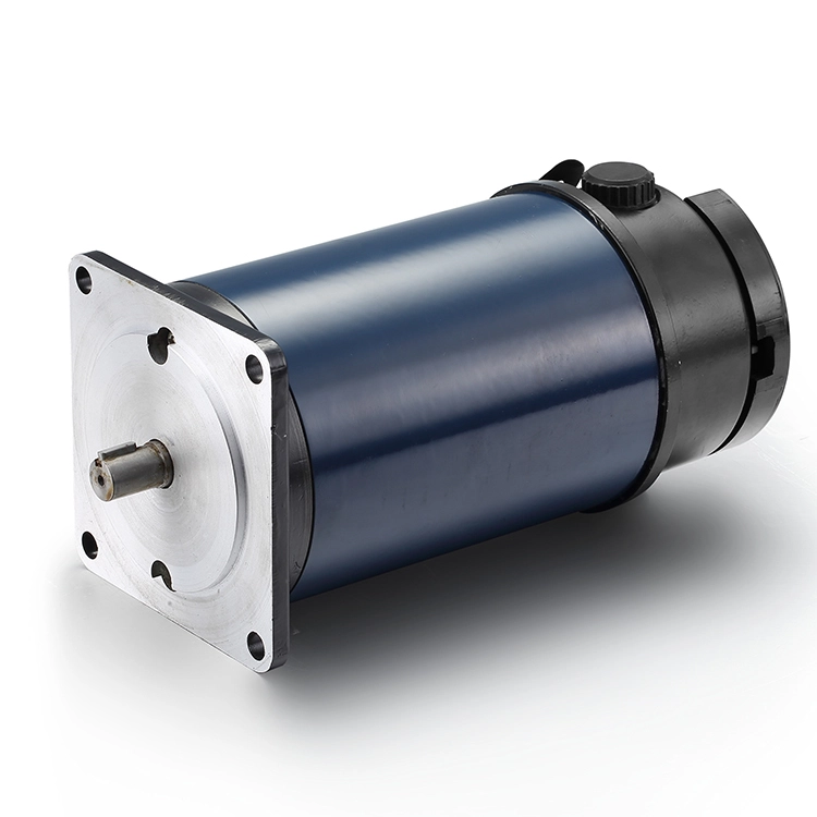 Motor de puerta automática BG110ZYT214 12V 500W 1