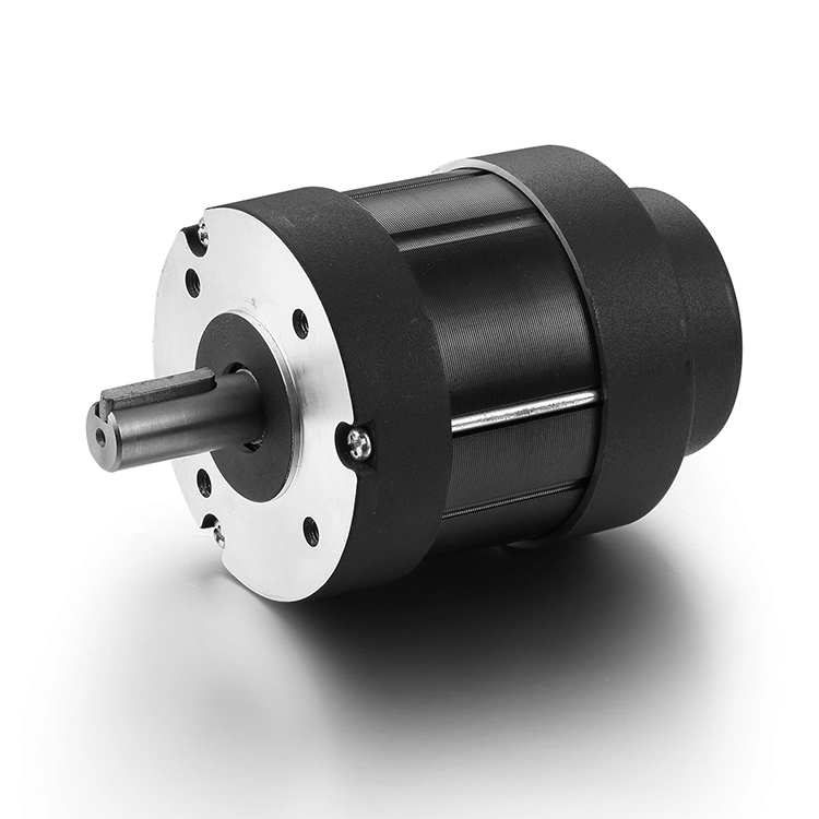 BG80BL90  250W 24V Drone motors 1