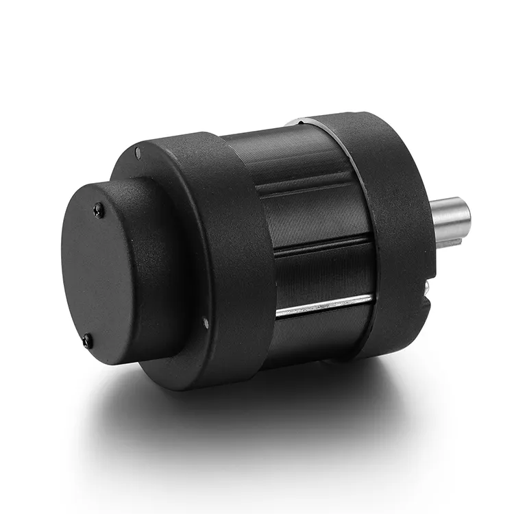 Brushless Motor 12-310VDC by BG Motor 4