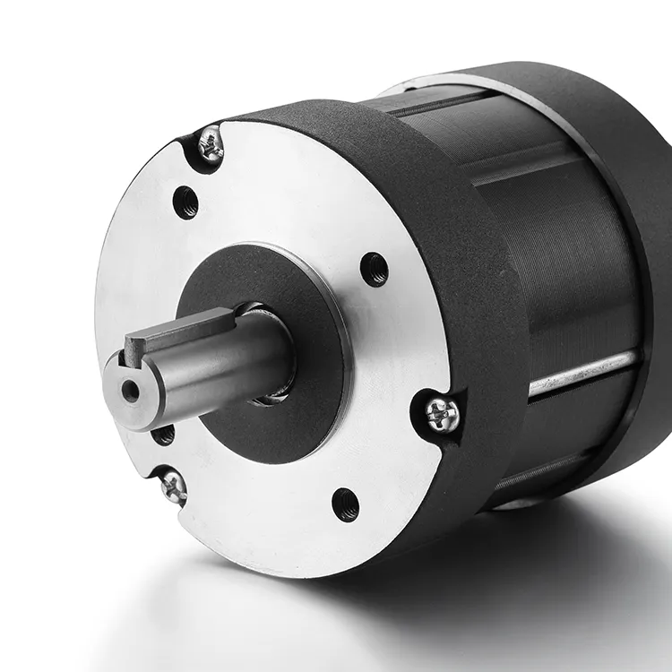 Brushless Motor 12-310VDC by BG Motor 2