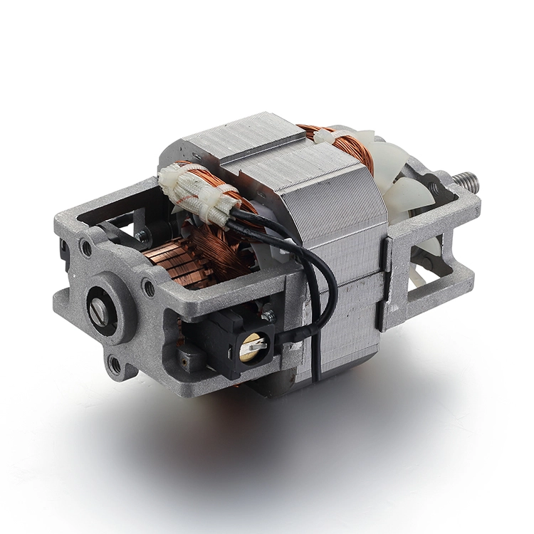 Motor de CA BGAC7630 de alto par 230V 500W para mezcladores 1