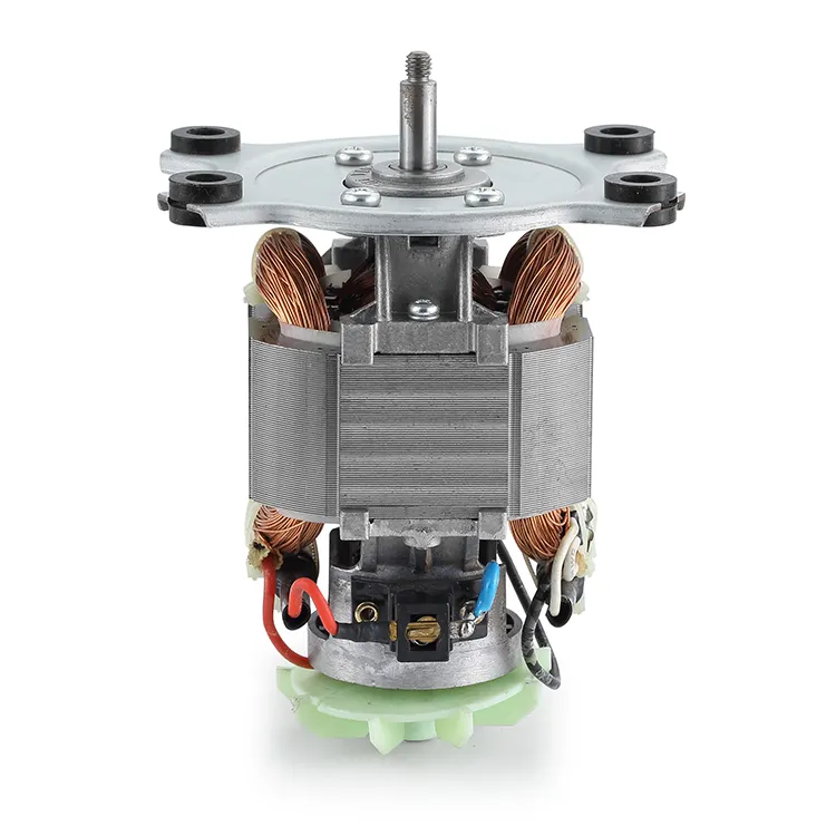 Ac Motors for Sale 110-240VDC - - BG Motor 5