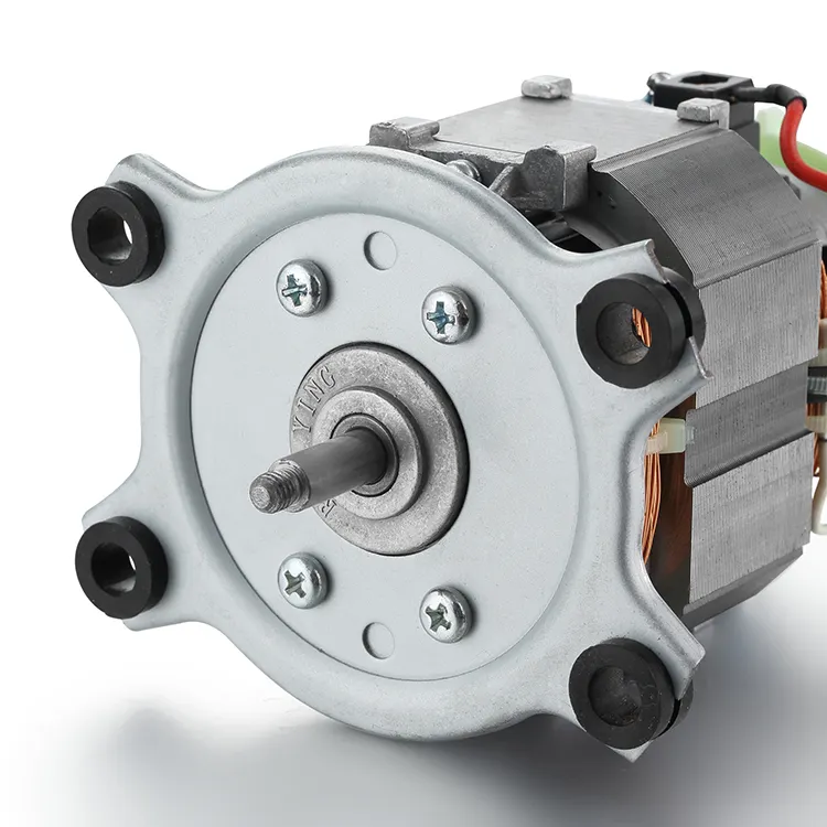 Ac Motors for Sale 110-240VDC - - BG Motor 2