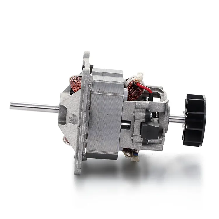 Universal Electric Motor Company 800-1200W by BG Motor 5