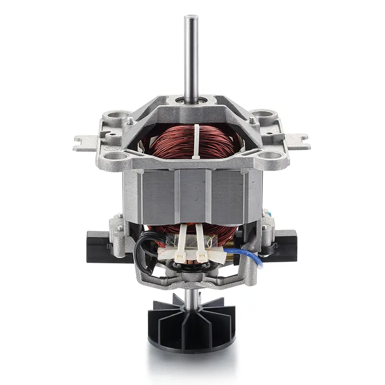Universal Electric Motor Company 800-1200W by BG Motor 3
