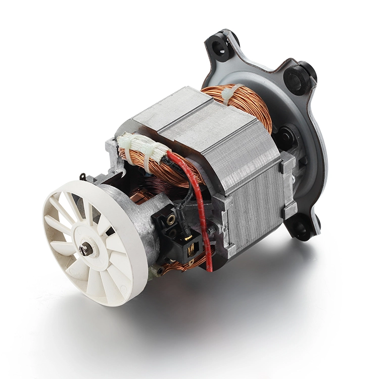 BG9540 220V Dryer motor 1