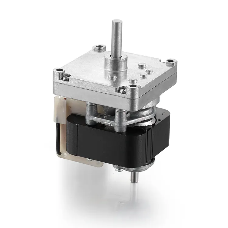Ac Motor Company 10-75W - - BG Motor 5