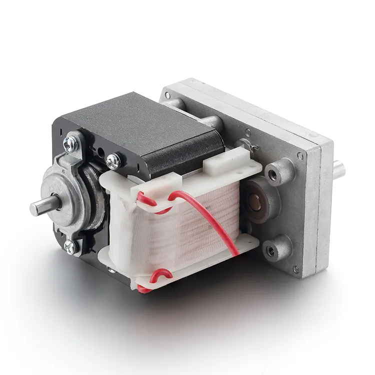 BG Motor Ac Motor Manufacturer 3-69rpmfor Sale 5