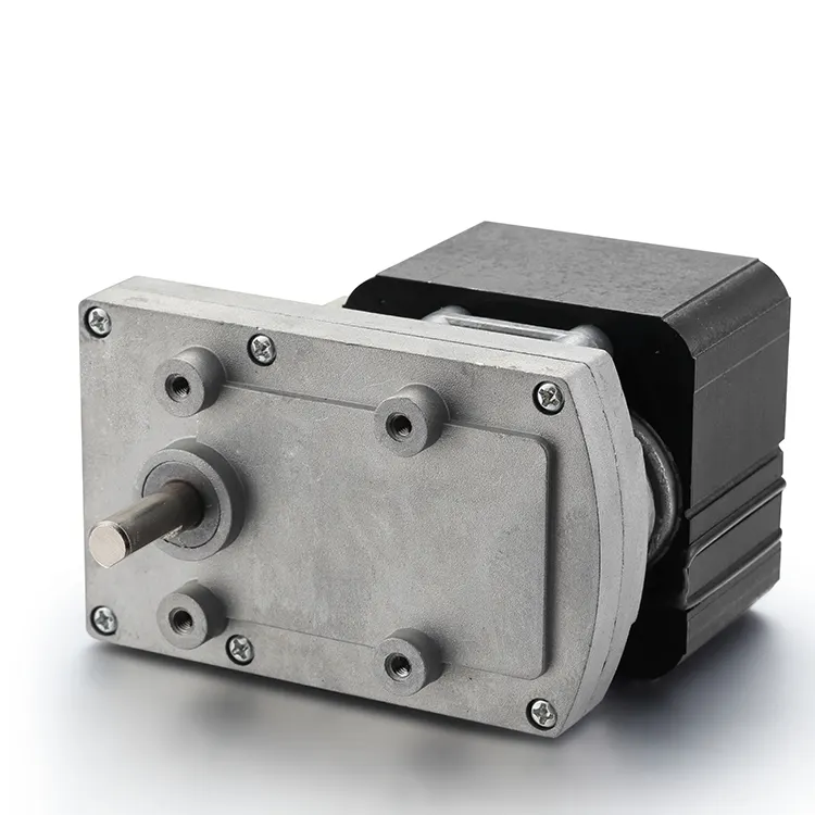 BG Motor Ac Motor Manufacturer 3-69rpmfor Sale 4