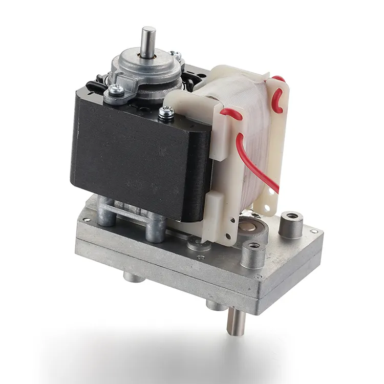 BG Motor Ac Motor Manufacturer 3-69rpmfor Sale 2