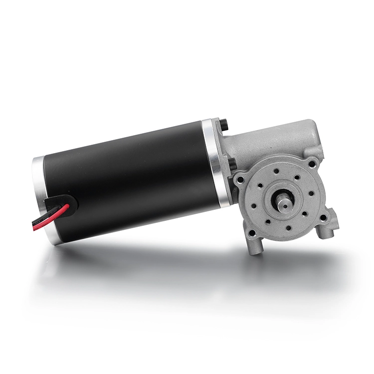 BG63  60W 100V Automatic door motor 1