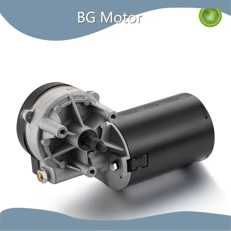 Geared Electric Motors 50-100rpm - - BG Motor 1