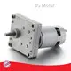 BG Motor Gears Motor 12-24VDCwholesale 1