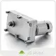 Ac Gear Motor 3-13.5W 12-24VDCsuppliers 1