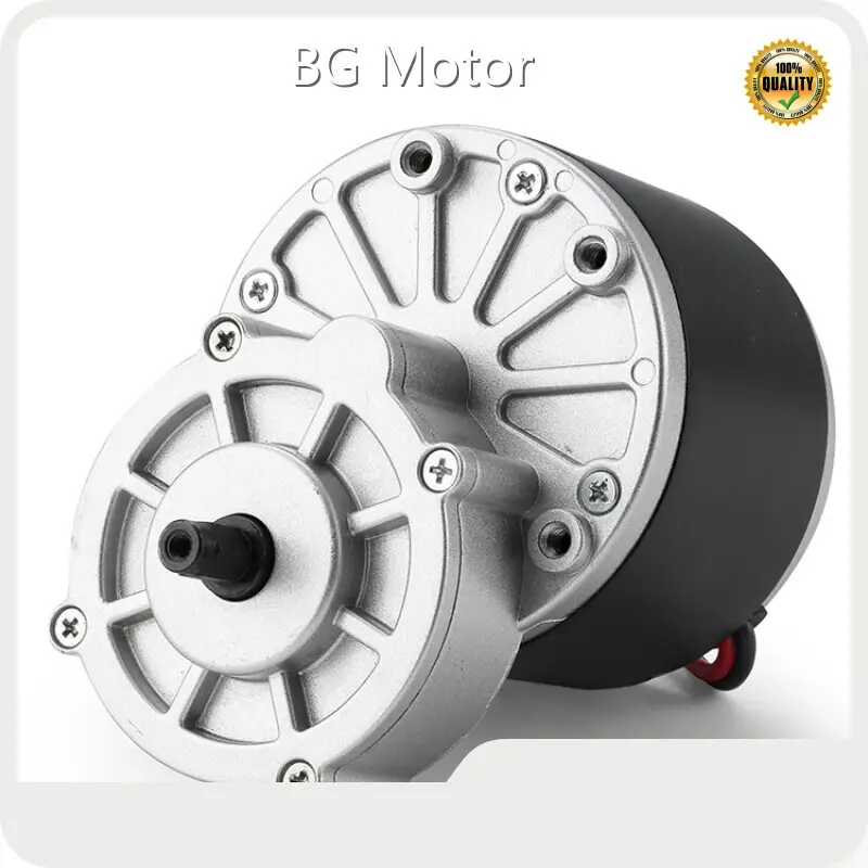 BG Motor Ac Motor Manufacturer 12-48VDCsupply 1