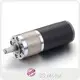 Planetary Motor 12-48VDC by BG Motor 1