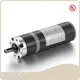 New Planetary Gear Motor 1