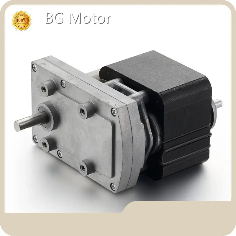 BG Motor Ac Motor Manufacturer 3-69rpmfor Sale 1
