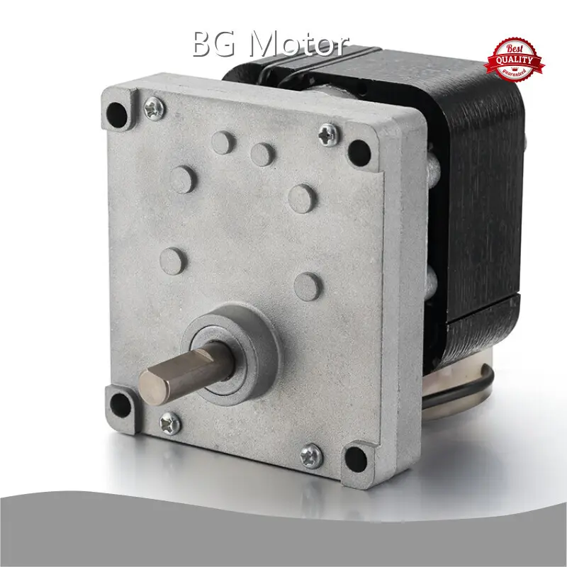 Ac Motor Company 10-75W - - BG Motor 1