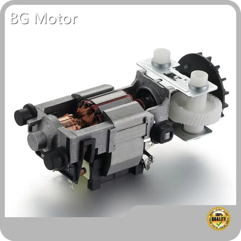 Custom Universal Electric Motor Suppliers 1