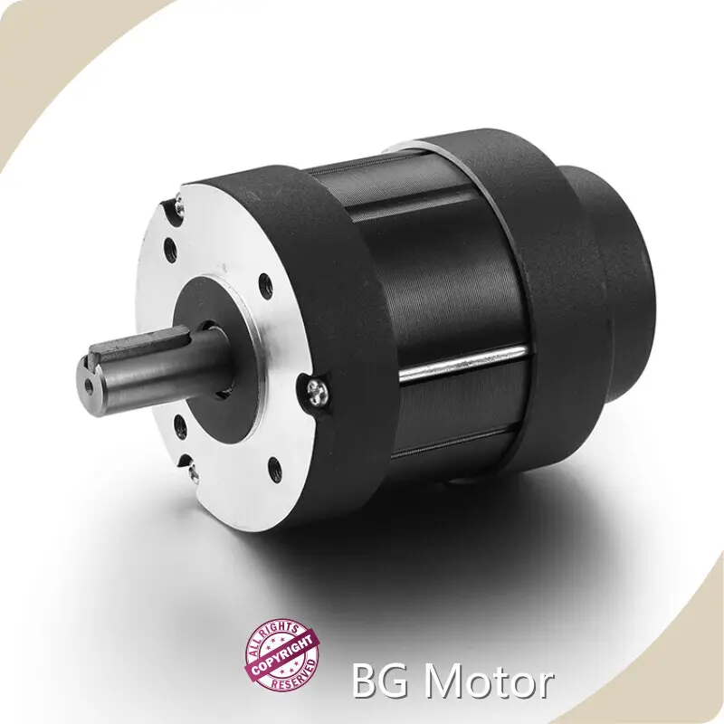 Brushless Motor 12-310VDC by BG Motor 1