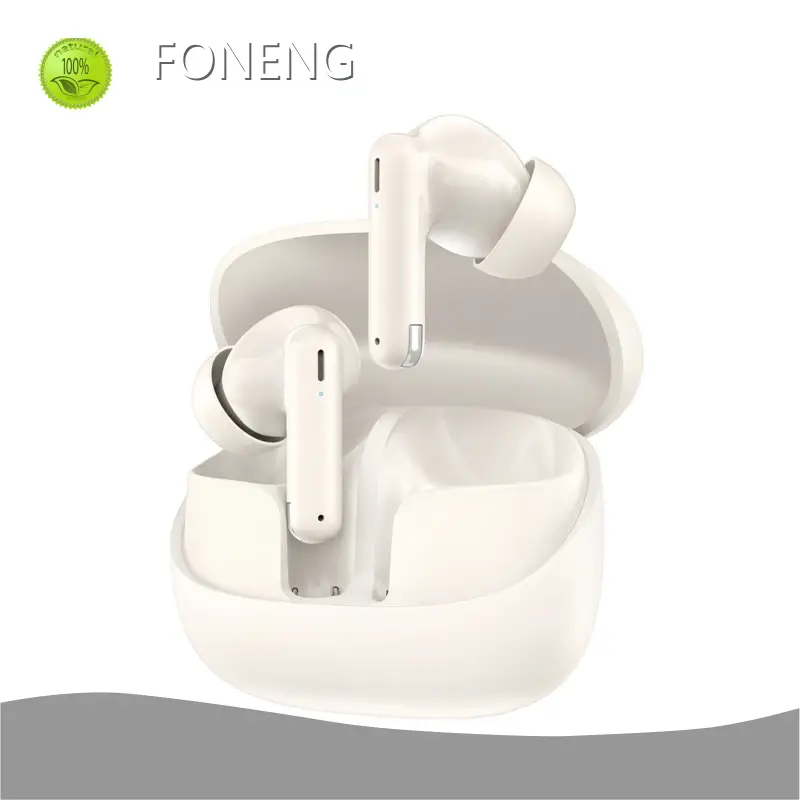 Wireless Anc Earbuds Suppliers Type-C 1