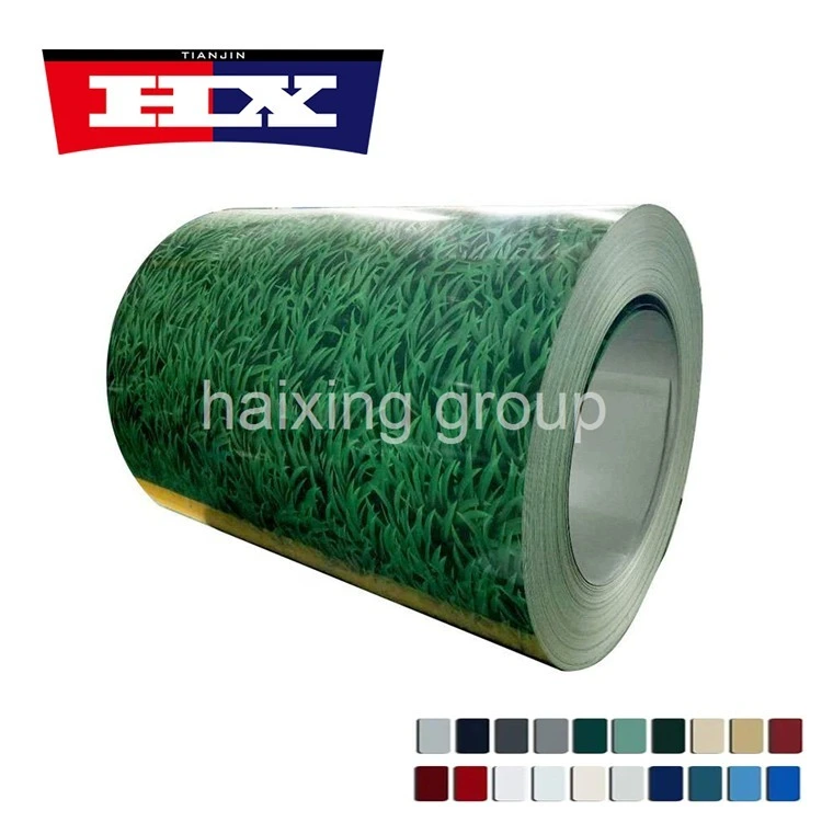 Prepainted Galvanized Steel Coils 1
