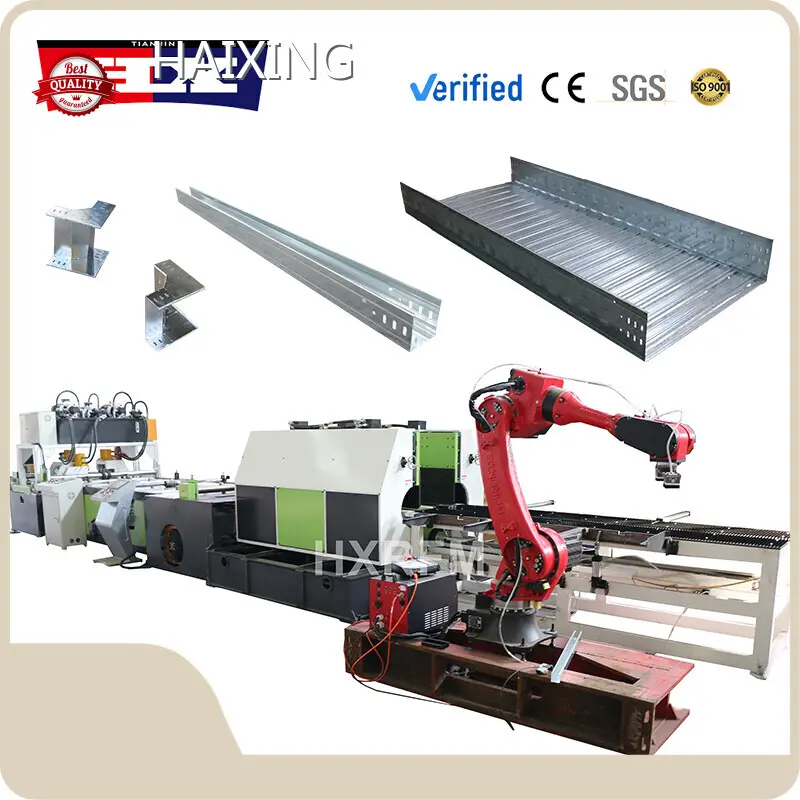 Panel Roll Forming Machine by HAIXING-1 1