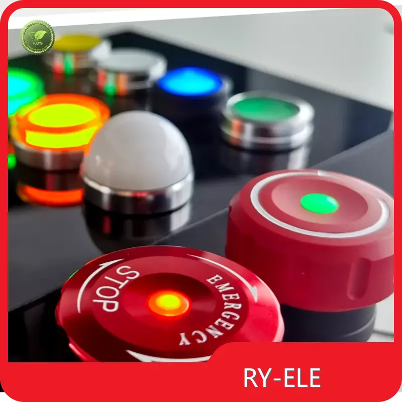 Metal Push Button Switch 250V RY-ELE 1
