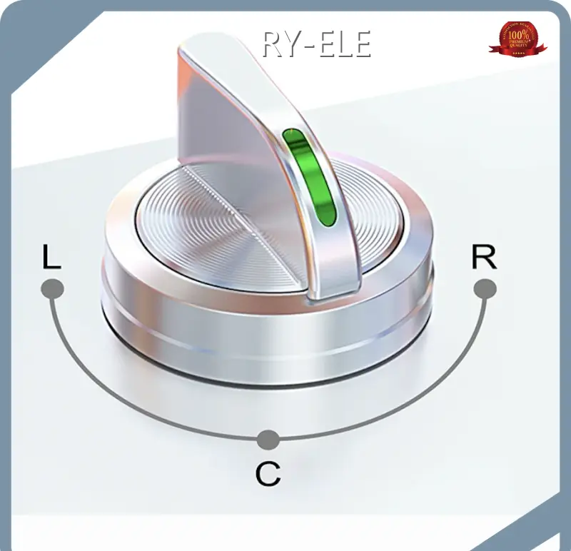 RY-ELE Emergency Stop Switch with Key 1