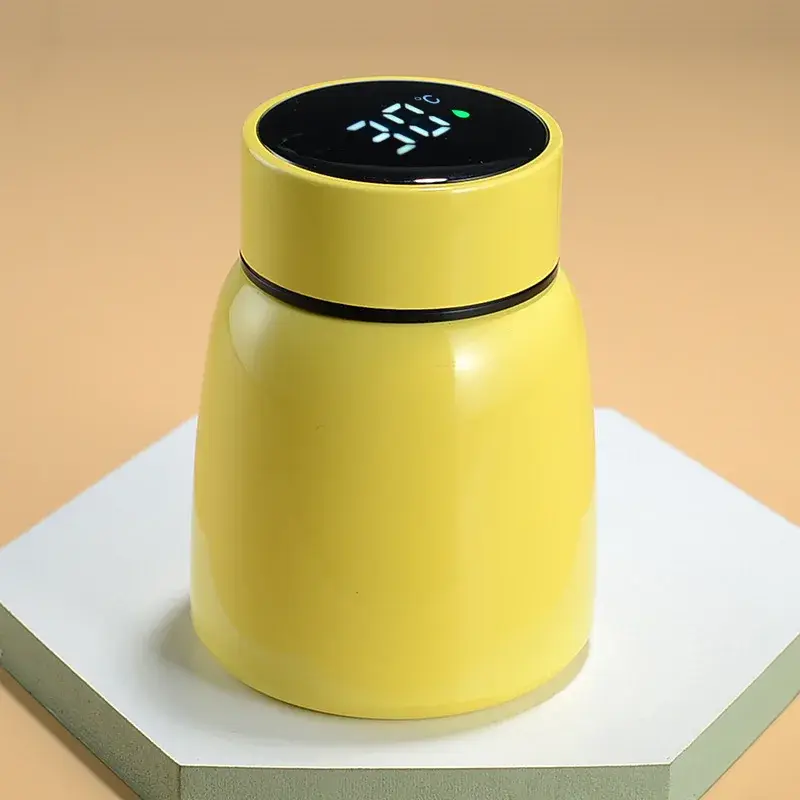 Customstainless Water Bottle for Home Built-in Rechargeable Battery Belly Cup 2