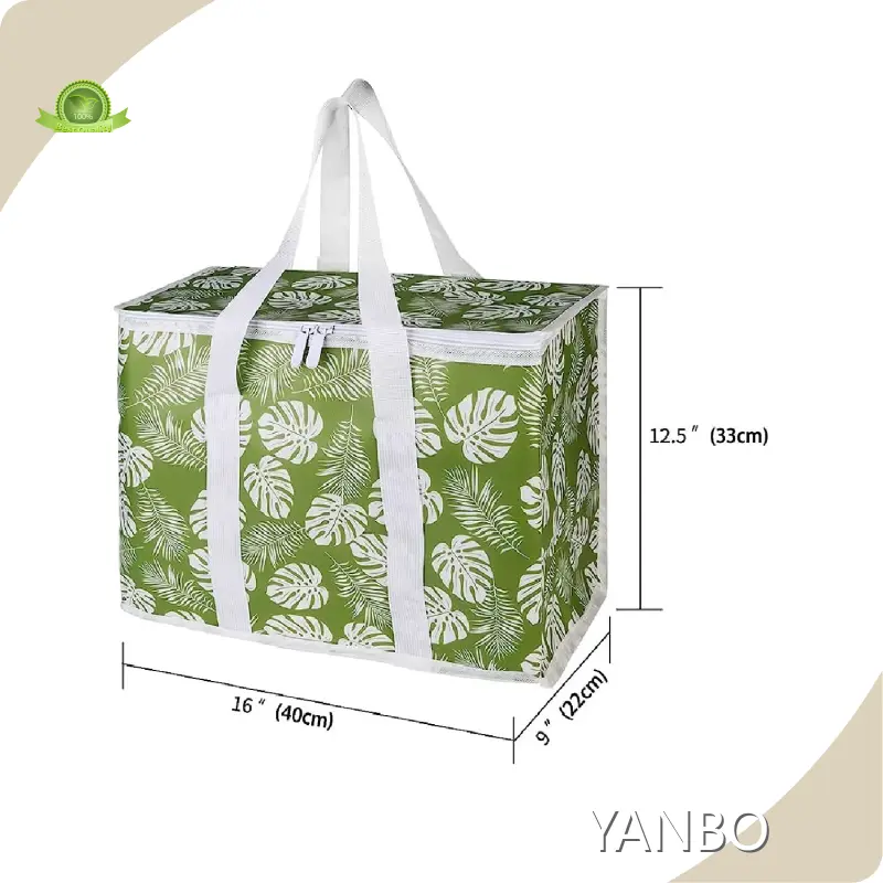 Mittagessenkühlertasche für Haushalt OEM.ODM Factory 1