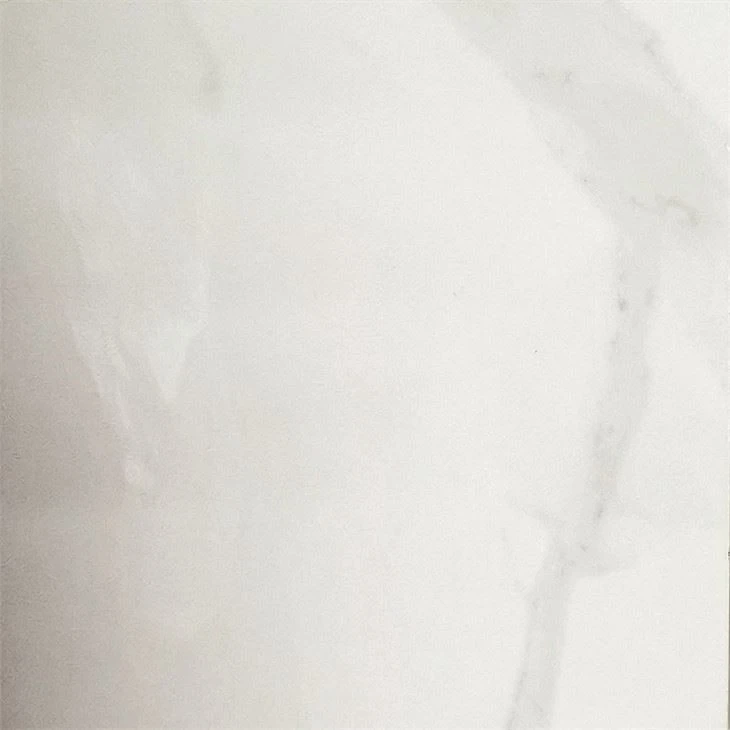 Porcelain Floor Tile 1