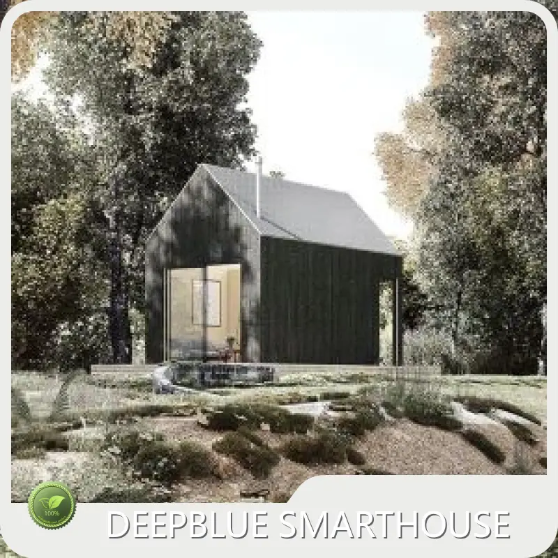 Wholesale Prefabricated House At Factory Price Whole Modular Homes- DEEPBLUE SMARTHOUSE 1